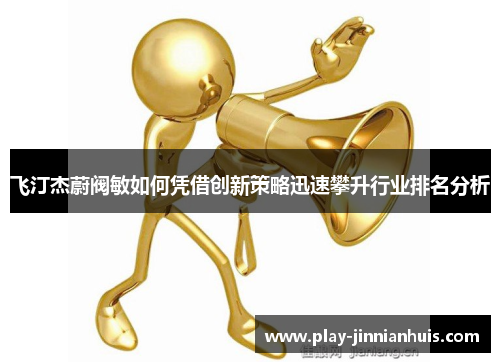 飞汀杰蔚阀敏如何凭借创新策略迅速攀升行业排名分析