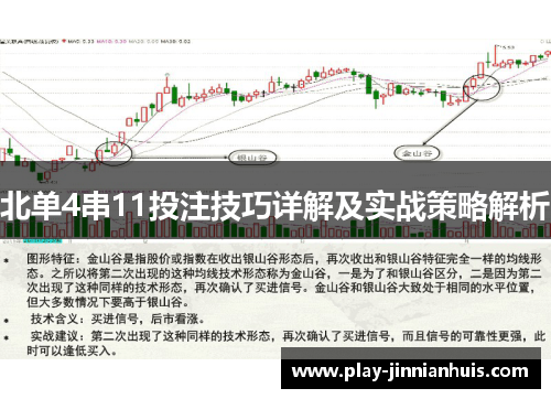 北单4串11投注技巧详解及实战策略解析